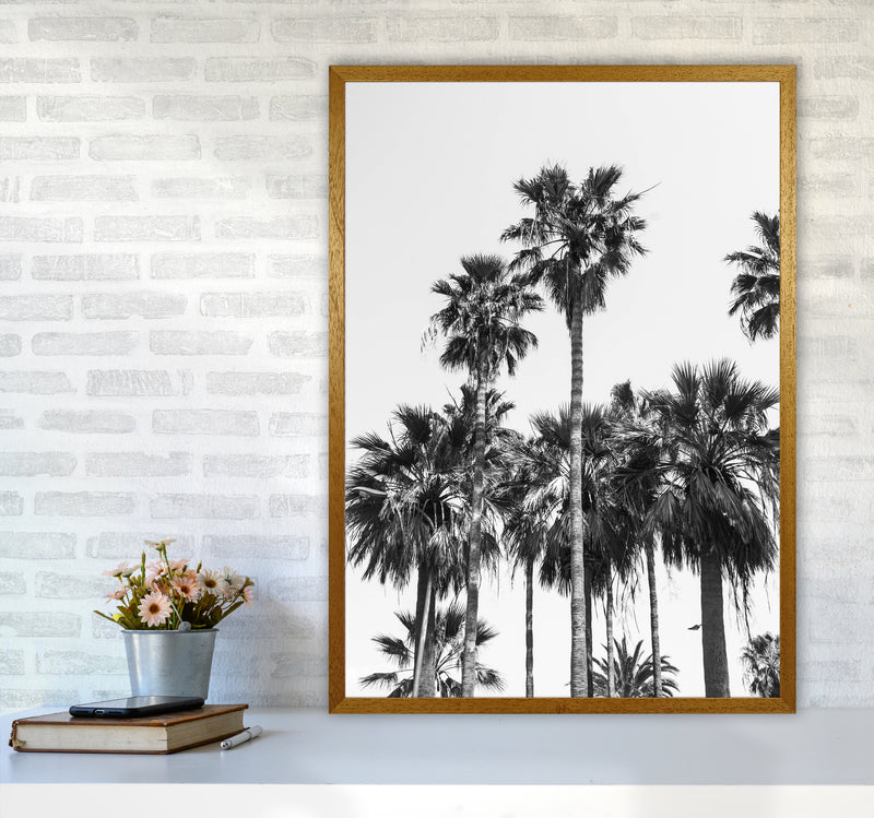 Sabal palmetto II Palm trees Photography Print by Victoria Frost A1 Print Only