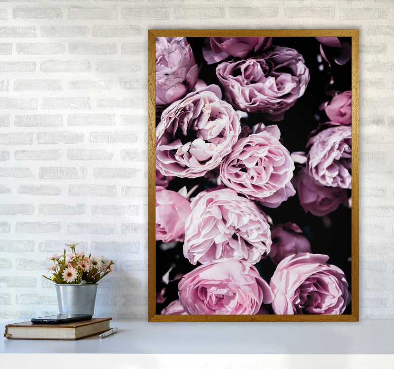 Pink Flowers II Photography Print by Victoria Frost A1 Print Only