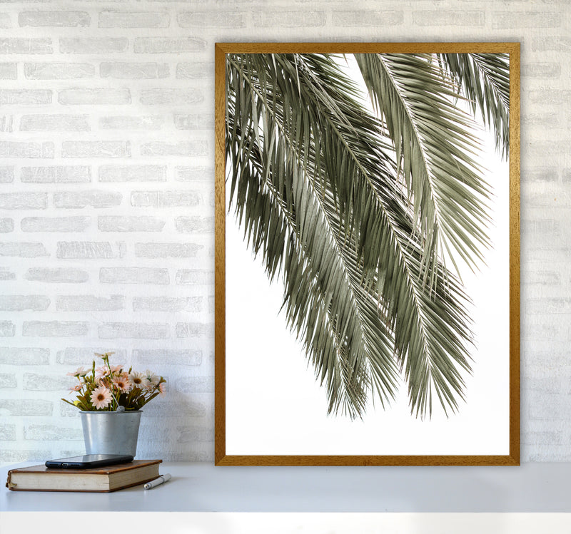 Palms Photography Print by Victoria Frost A1 Print Only