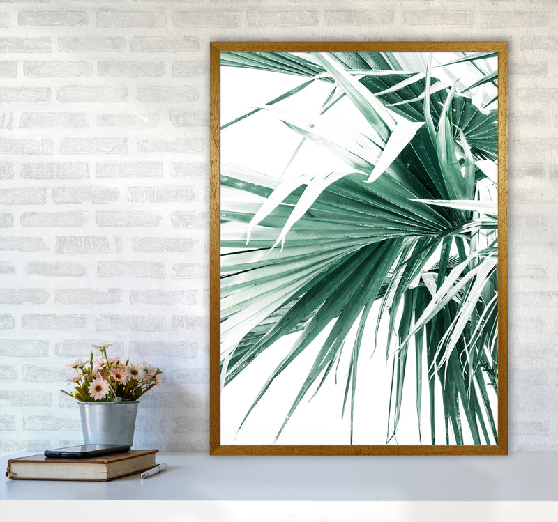 Palm Leaves Photography Print by Victoria Frost A1 Print Only