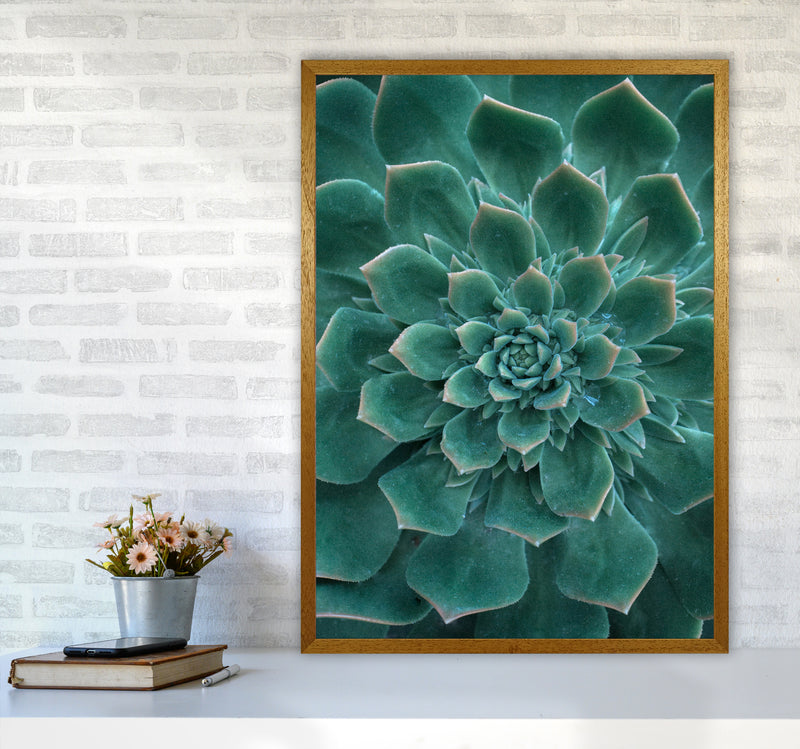 Green Succulent Plant Photography Print by Victoria Frost A1 Print Only