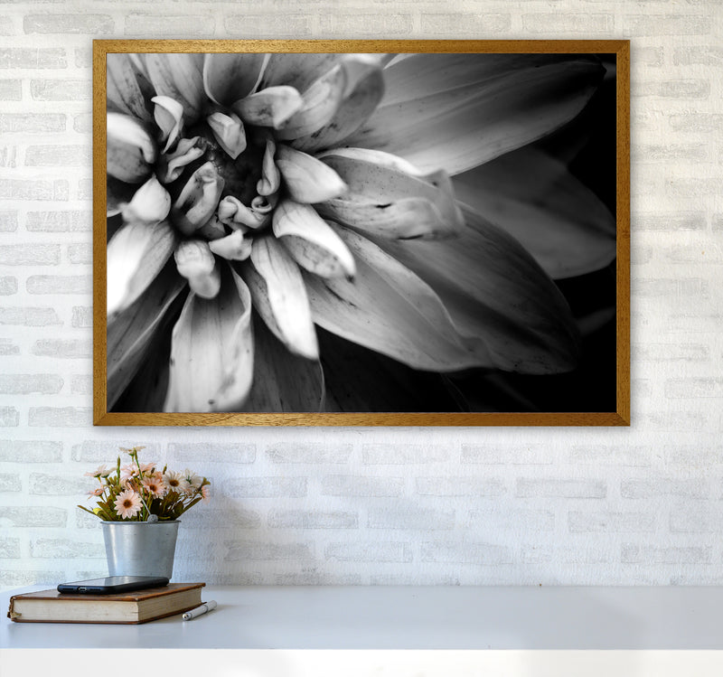 Flower Petals I  Photography Print by Victoria Frost A1 Print Only