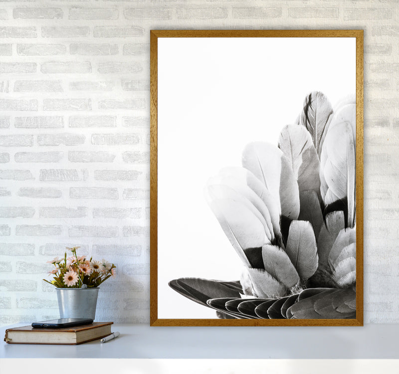 Feathers Photography Print by Victoria Frost A1 Print Only