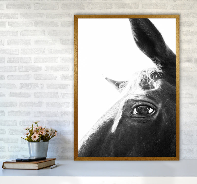 Eye of the beholder Photography Print by Victoria Frost A1 Print Only