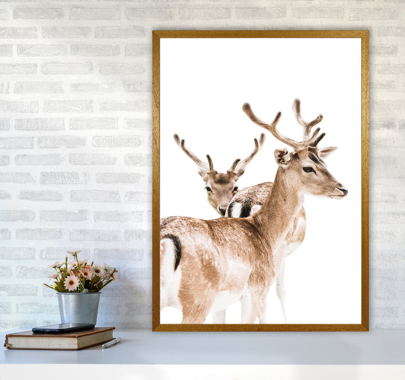 Deers II Photography Print by Victoria Frost A1 Print Only