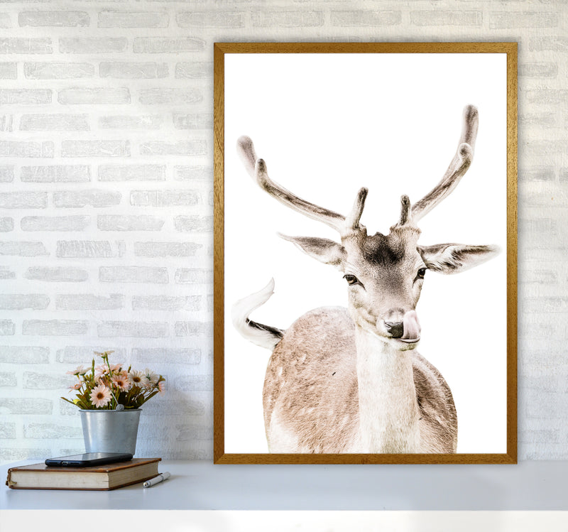 Deer I Photography Print by Victoria Frost A1 Print Only