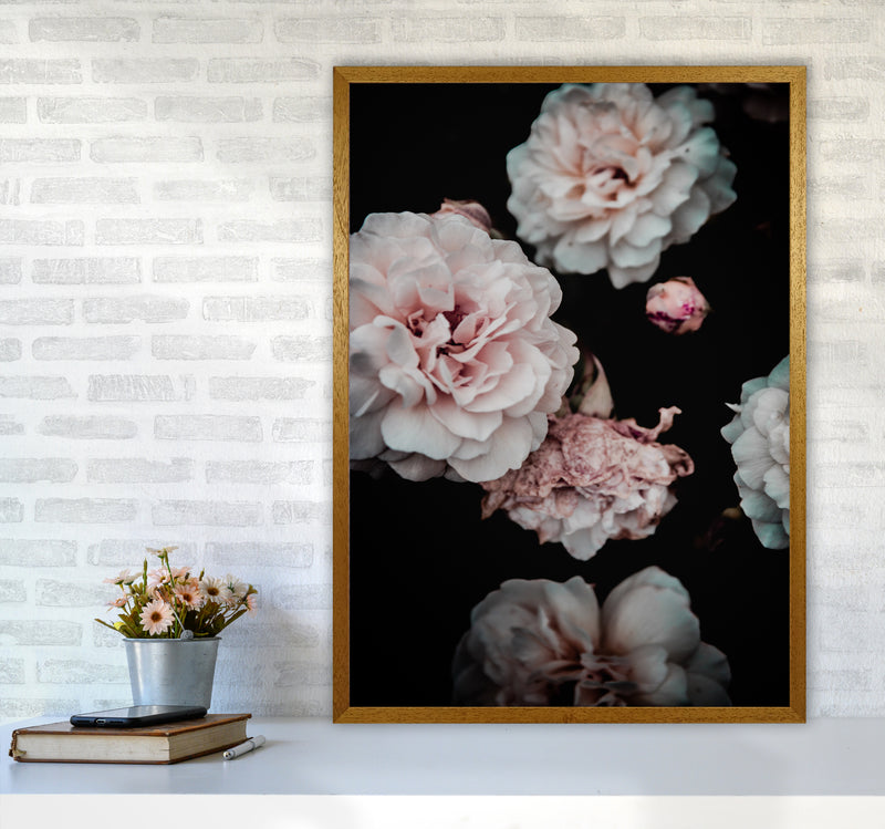 Crisp Pink Photography Print by Victoria Frost A1 Print Only