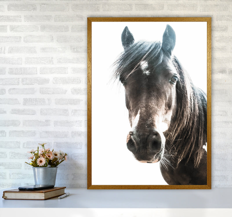 Brown Horse Photography Print by Victoria Frost A1 Print Only