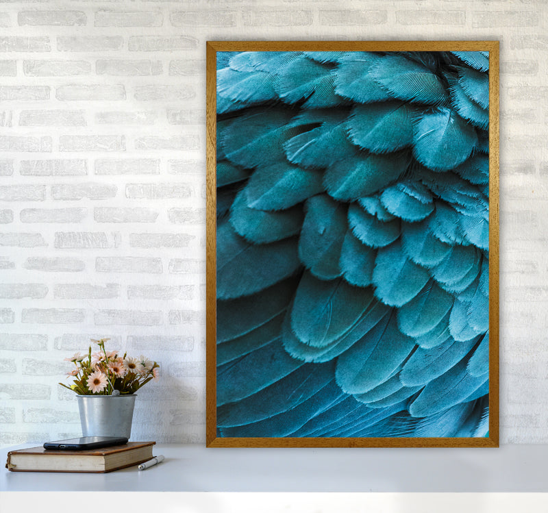 Blue Feathers Photography Print by Victoria Frost A1 Print Only