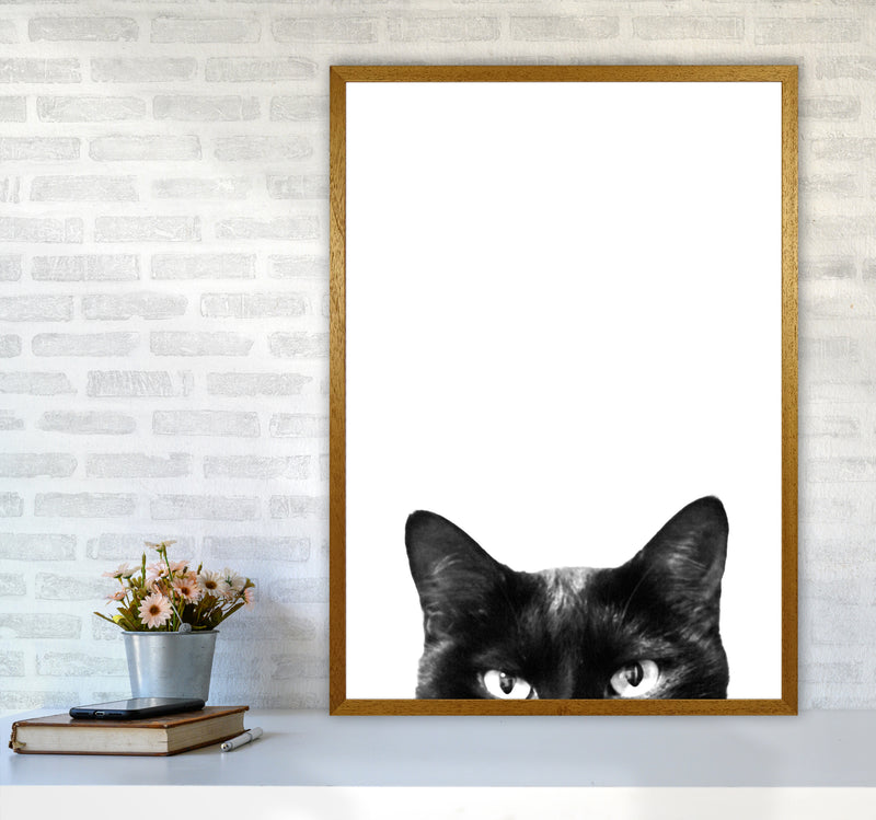 Black Cat Photography Print by Victoria Frost A1 Print Only