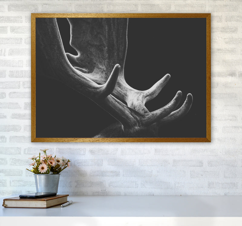 Antlers Photography Print by Victoria Frost A1 Print Only