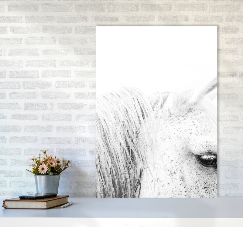 White Horse II Photography Print by Victoria Frost A1 Black Frame