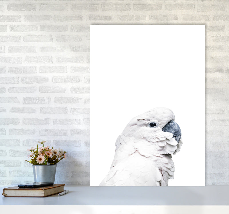 White Cockatoo Photography Print by Victoria Frost A1 Black Frame