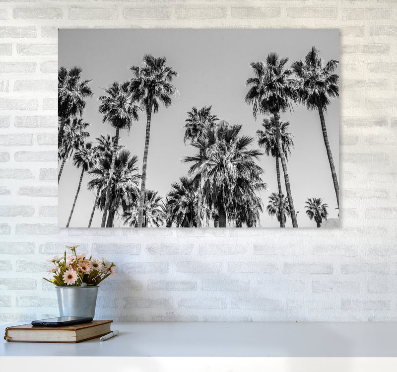 Sabal palmetto I Palm Trees Photography Print by Victoria Frost A1 Black Frame