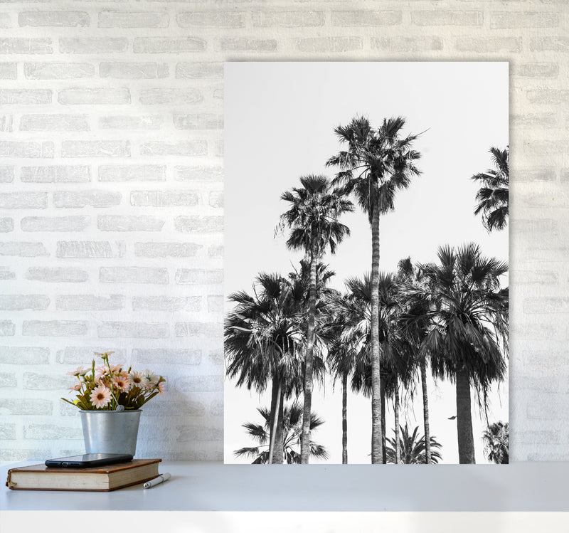 Sabal palmetto II Palm trees Photography Print by Victoria Frost A1 Black Frame