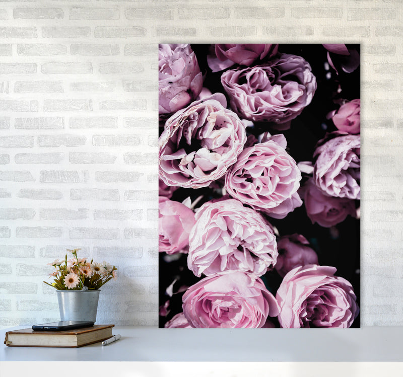 Pink Flowers II Photography Print by Victoria Frost A1 Black Frame