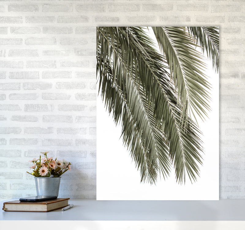 Palms Photography Print by Victoria Frost A1 Black Frame
