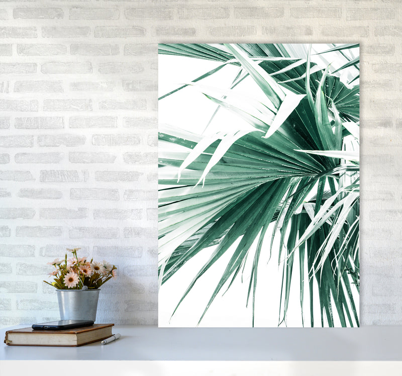 Palm Leaves Photography Print by Victoria Frost A1 Black Frame