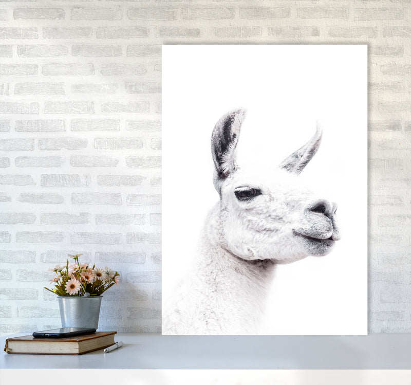 Llama I Photography Print by Victoria Frost A1 Black Frame