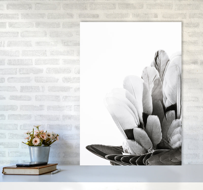 Feathers Photography Print by Victoria Frost A1 Black Frame