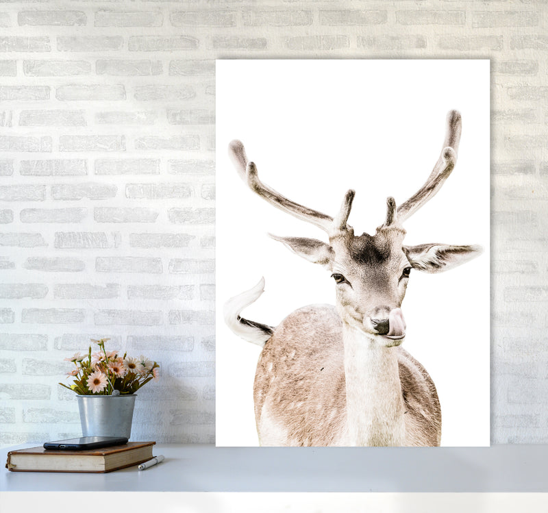 Deer I Photography Print by Victoria Frost A1 Black Frame