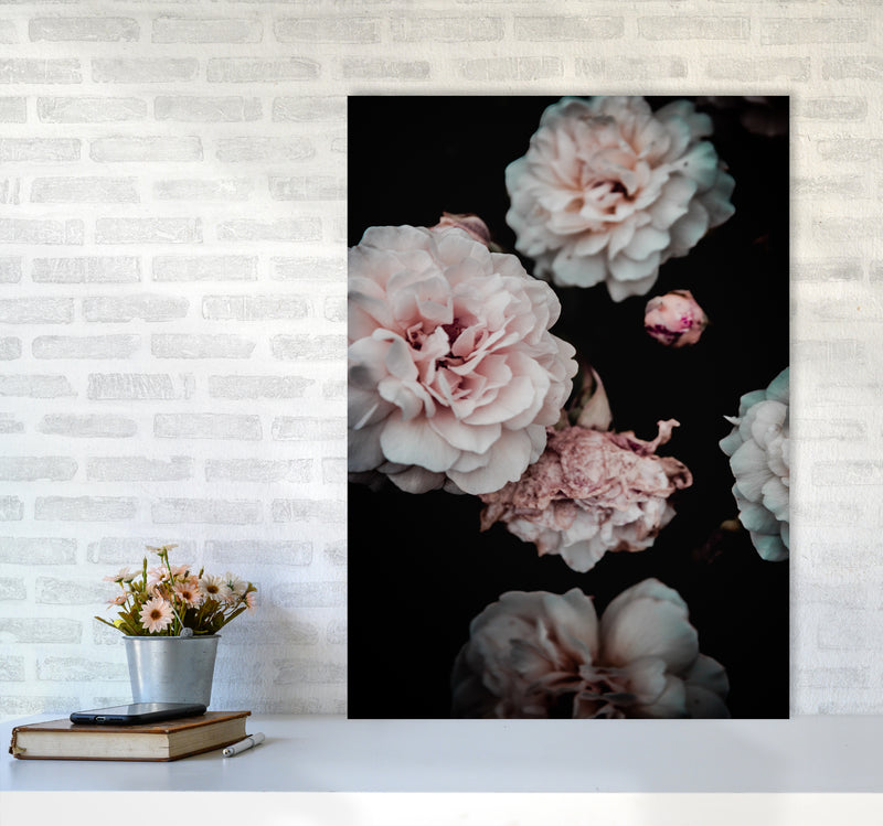 Crisp Pink Photography Print by Victoria Frost A1 Black Frame