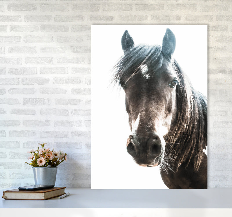 Brown Horse Photography Print by Victoria Frost A1 Black Frame