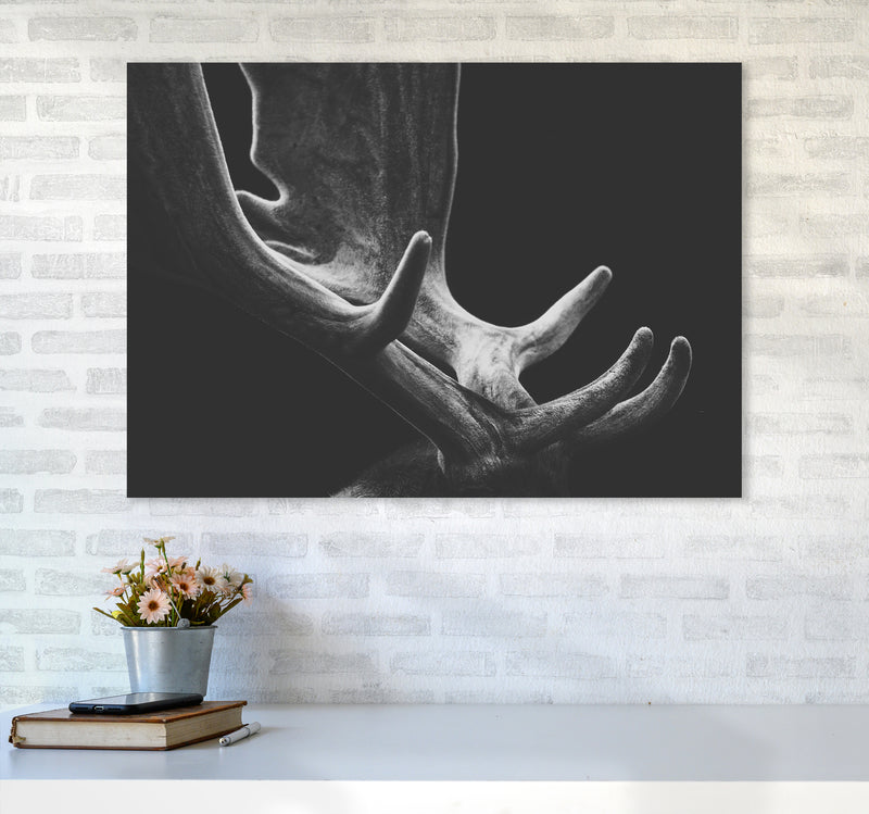 Antlers Photography Print by Victoria Frost A1 Black Frame