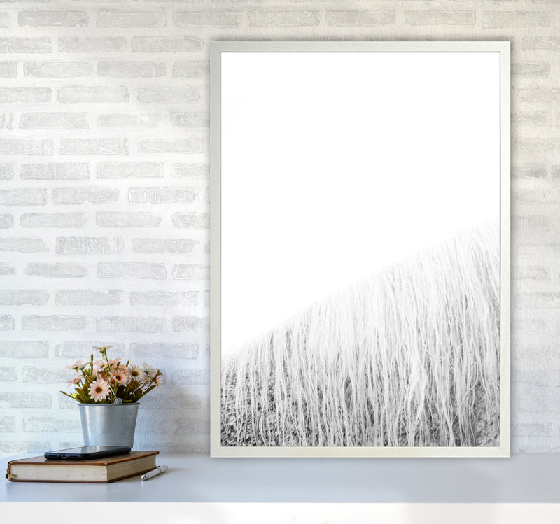 White Horse I Photography Print by Victoria Frost A1 Oak Frame