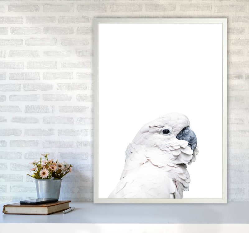 White Cockatoo Photography Print by Victoria Frost A1 Oak Frame