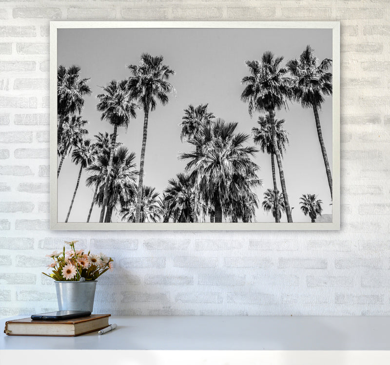 Sabal palmetto I Palm Trees Photography Print by Victoria Frost A1 Oak Frame