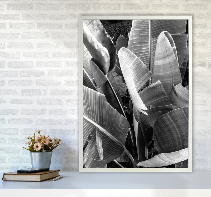 Palms Leafs Photography Print by Victoria Frost A1 Oak Frame