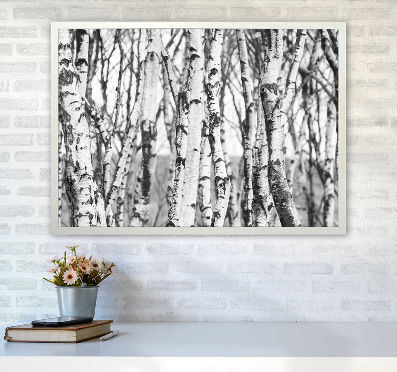 Off the beaten path Photography Print by Victoria Frost A1 Oak Frame