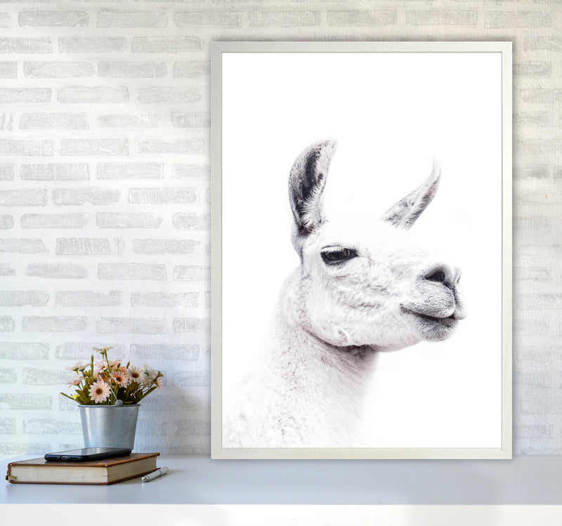 Llama I Photography Print by Victoria Frost A1 Oak Frame