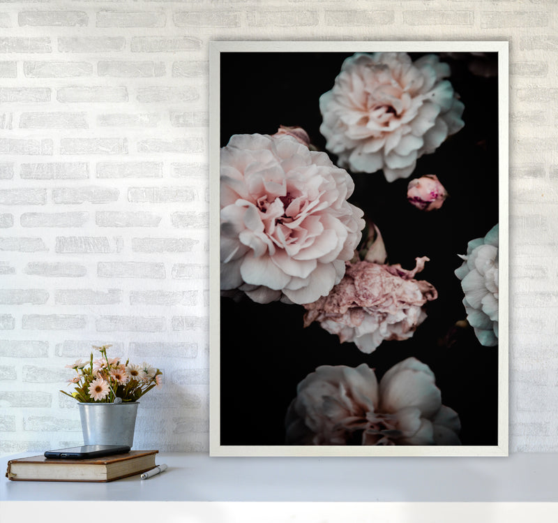 Crisp Pink Photography Print by Victoria Frost A1 Oak Frame