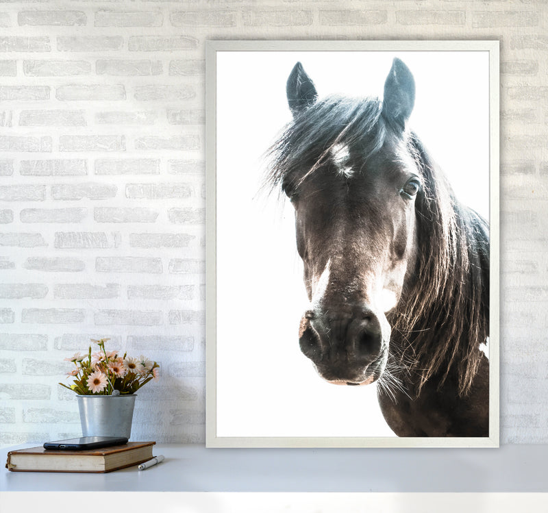 Brown Horse Photography Print by Victoria Frost A1 Oak Frame