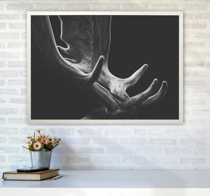 Antlers Photography Print by Victoria Frost A1 Oak Frame