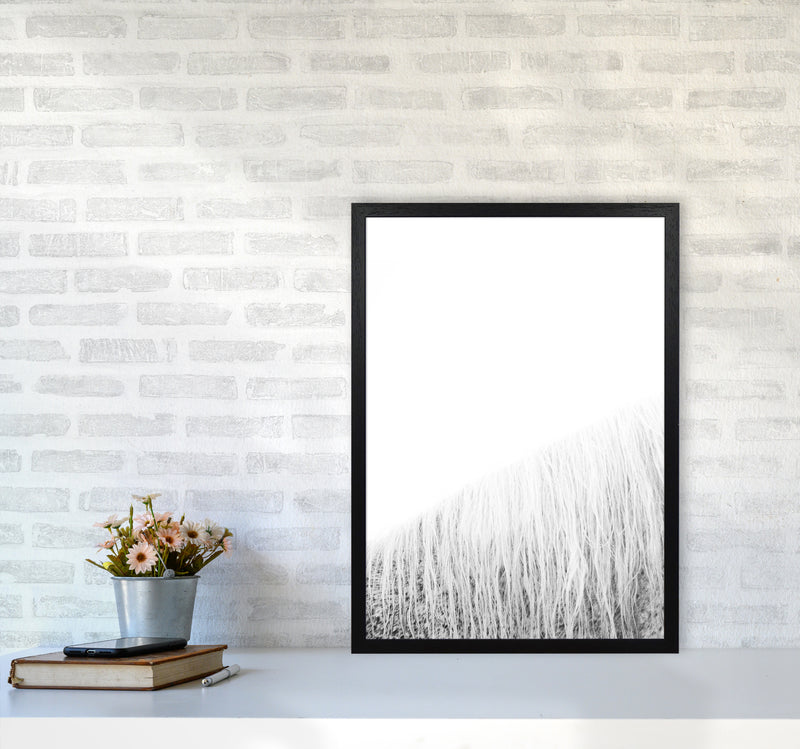 White Horse I Photography Print by Victoria Frost A2 White Frame