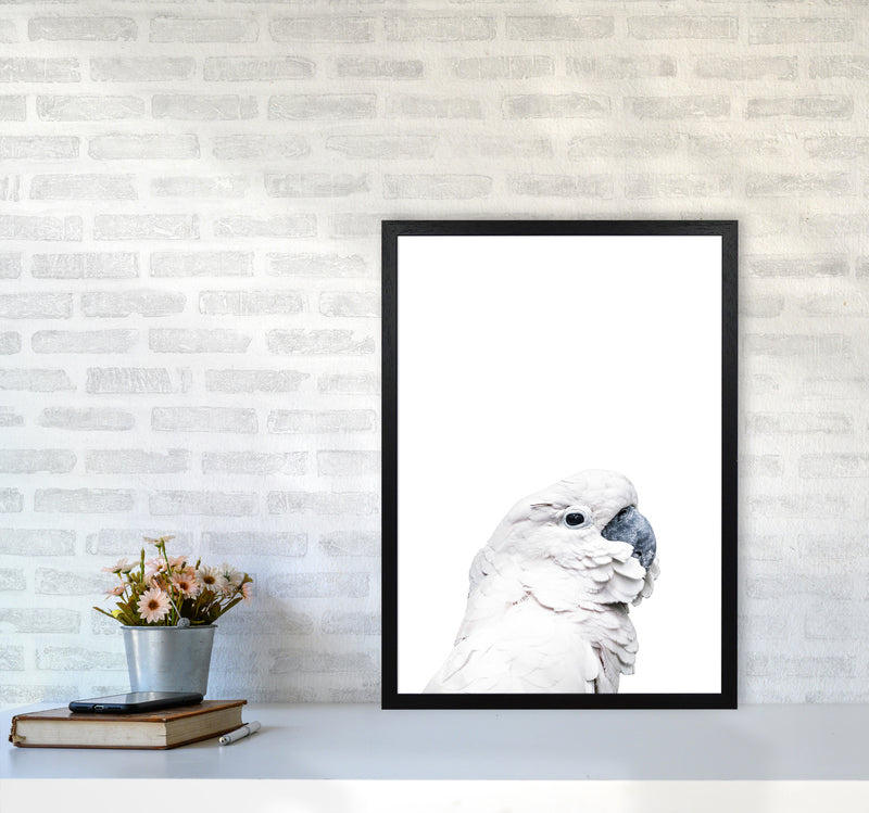White Cockatoo Photography Print by Victoria Frost A2 White Frame