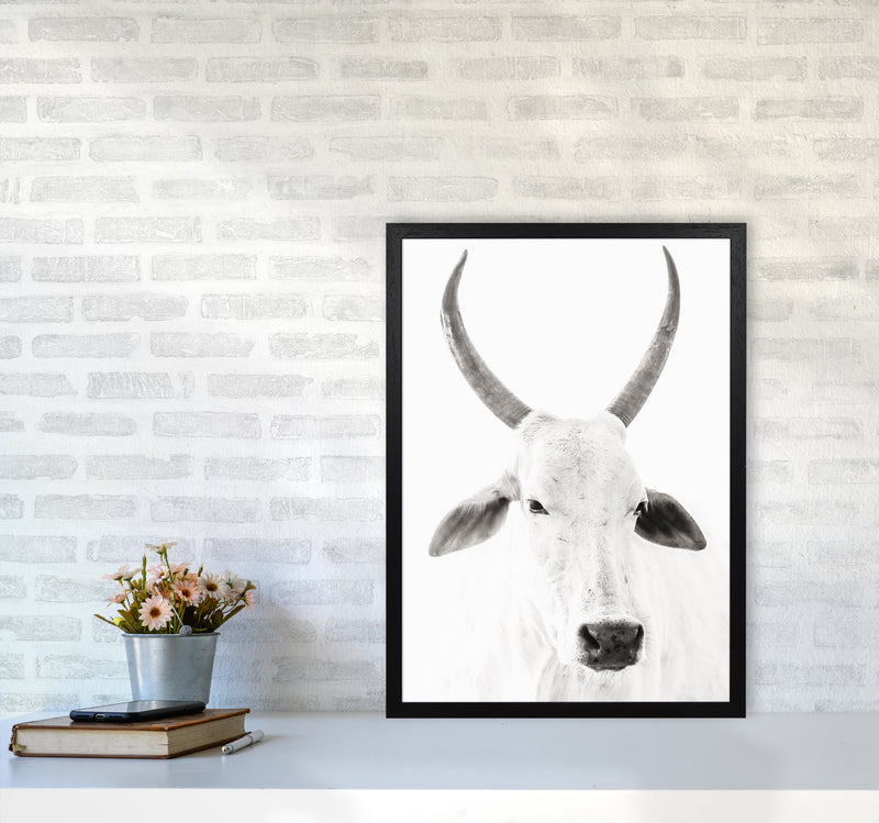 White Cow I Photography Print by Victoria Frost A2 White Frame