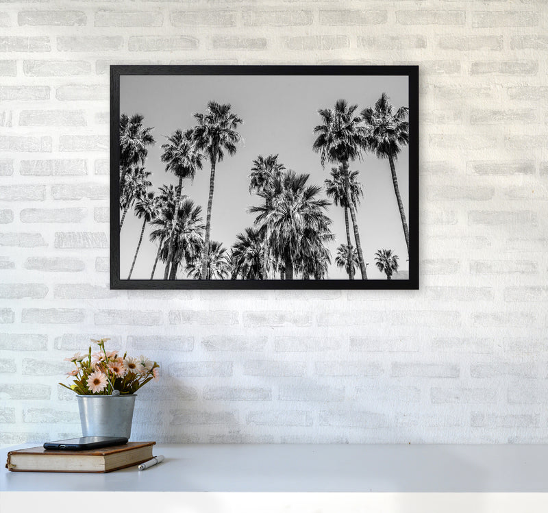 Sabal palmetto I Palm Trees Photography Print by Victoria Frost A2 White Frame