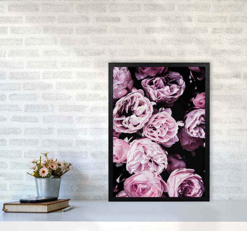 Pink Flowers II Photography Print by Victoria Frost A2 White Frame