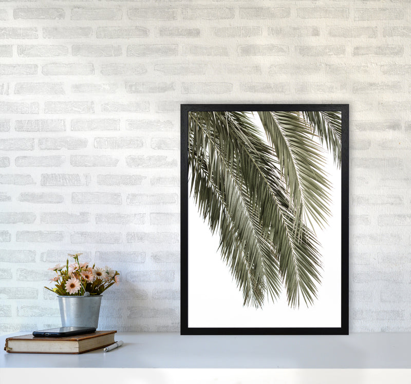Palms Photography Print by Victoria Frost A2 White Frame