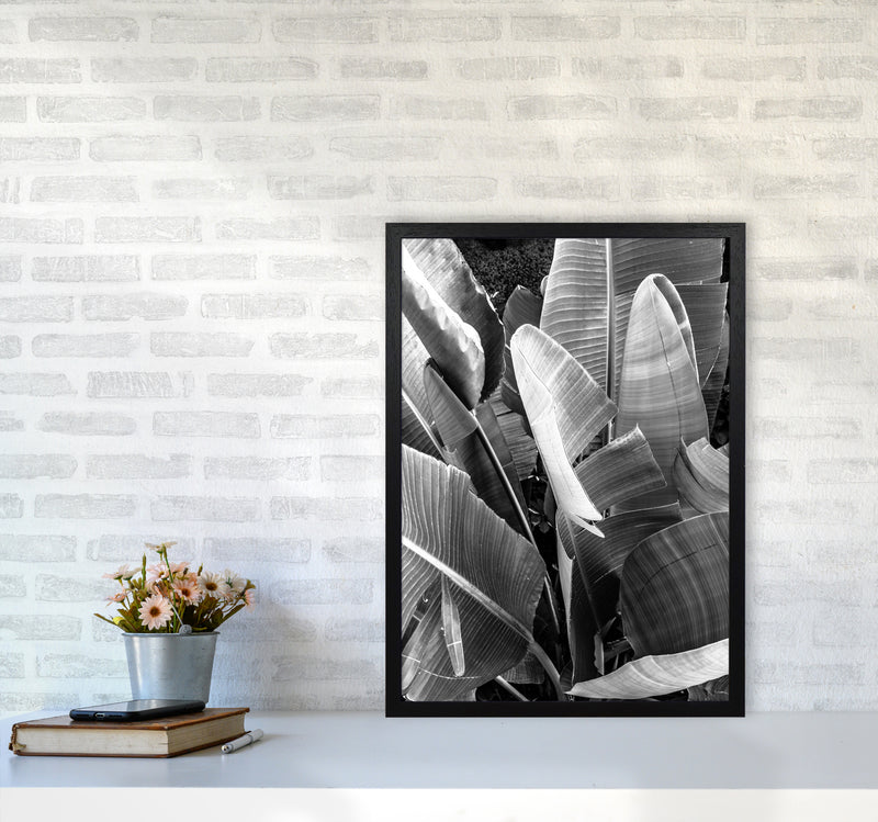 Palms Leafs Photography Print by Victoria Frost A2 White Frame