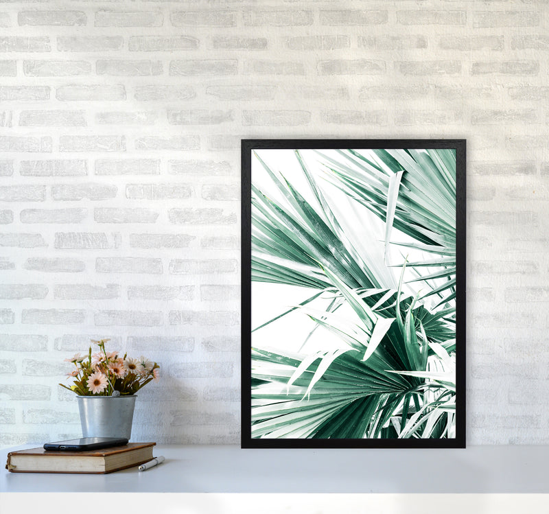 Palm Leaves II Photography Print by Victoria Frost A2 White Frame