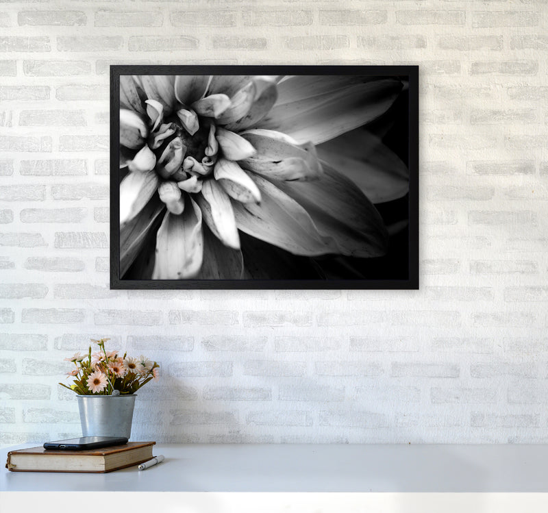 Flower Petals I  Photography Print by Victoria Frost A2 White Frame