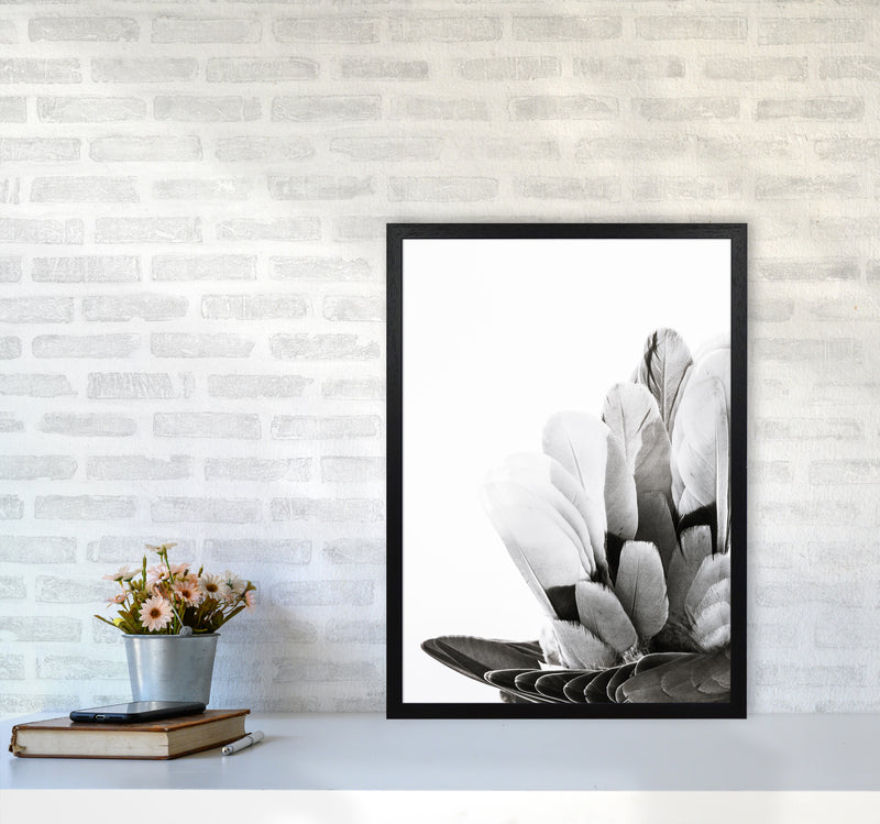 Feathers Photography Print by Victoria Frost A2 White Frame