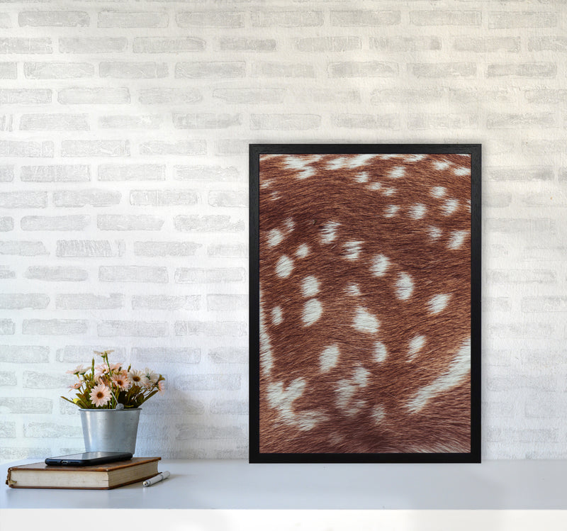 Deer skin Photography Print by Victoria Frost A2 White Frame