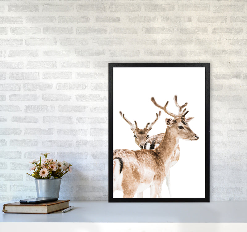 Deers II Photography Print by Victoria Frost A2 White Frame