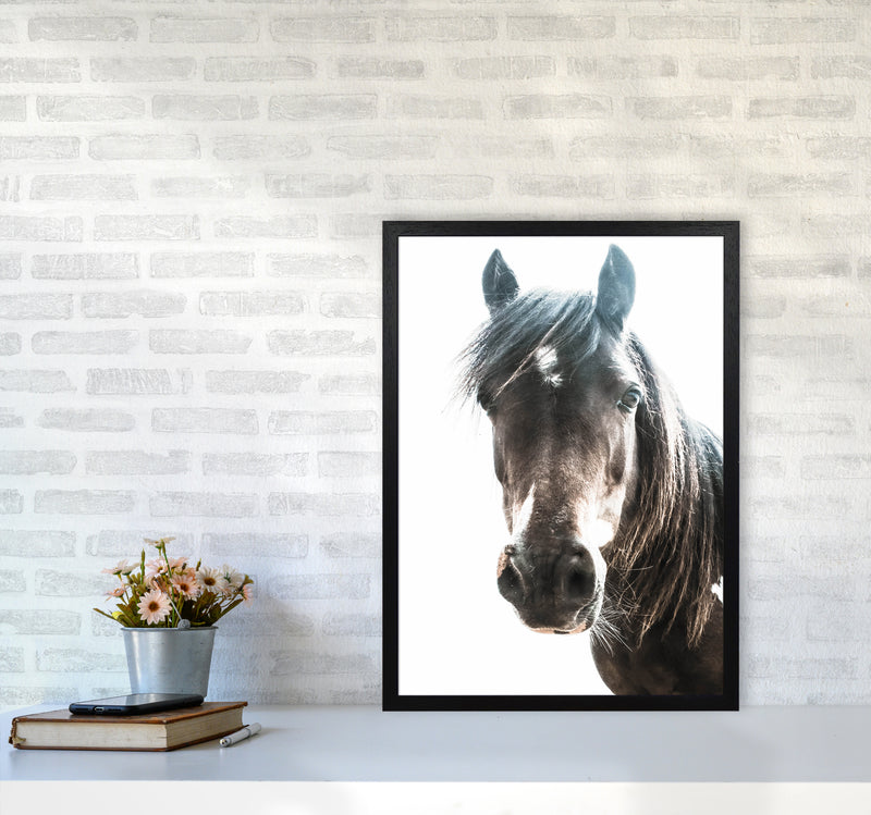 Brown Horse Photography Print by Victoria Frost A2 White Frame